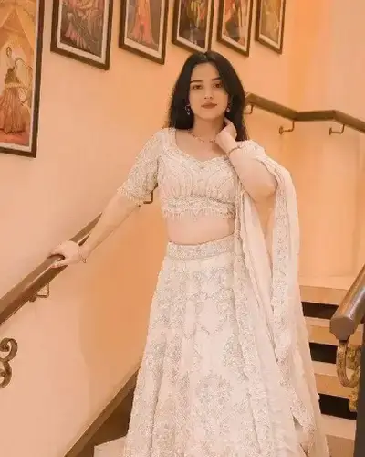 Escort Service In Ameerpet